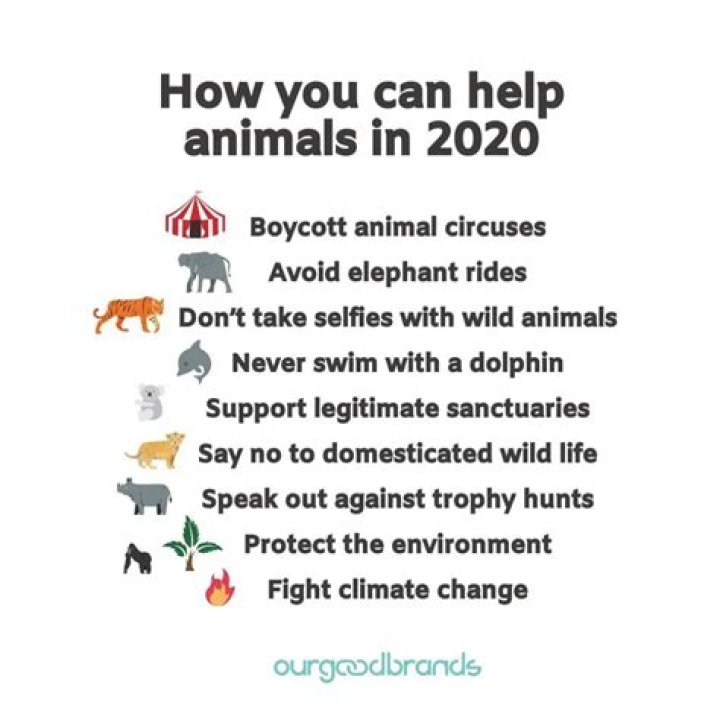 how to help animals in captivity