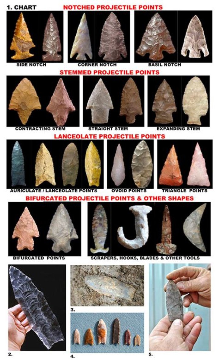 how to identify an arrowhead