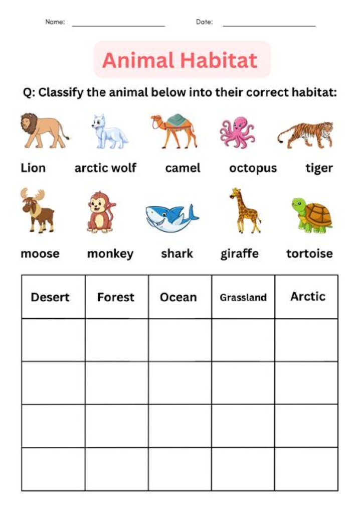 how to identify animals - Lisbd-net.com