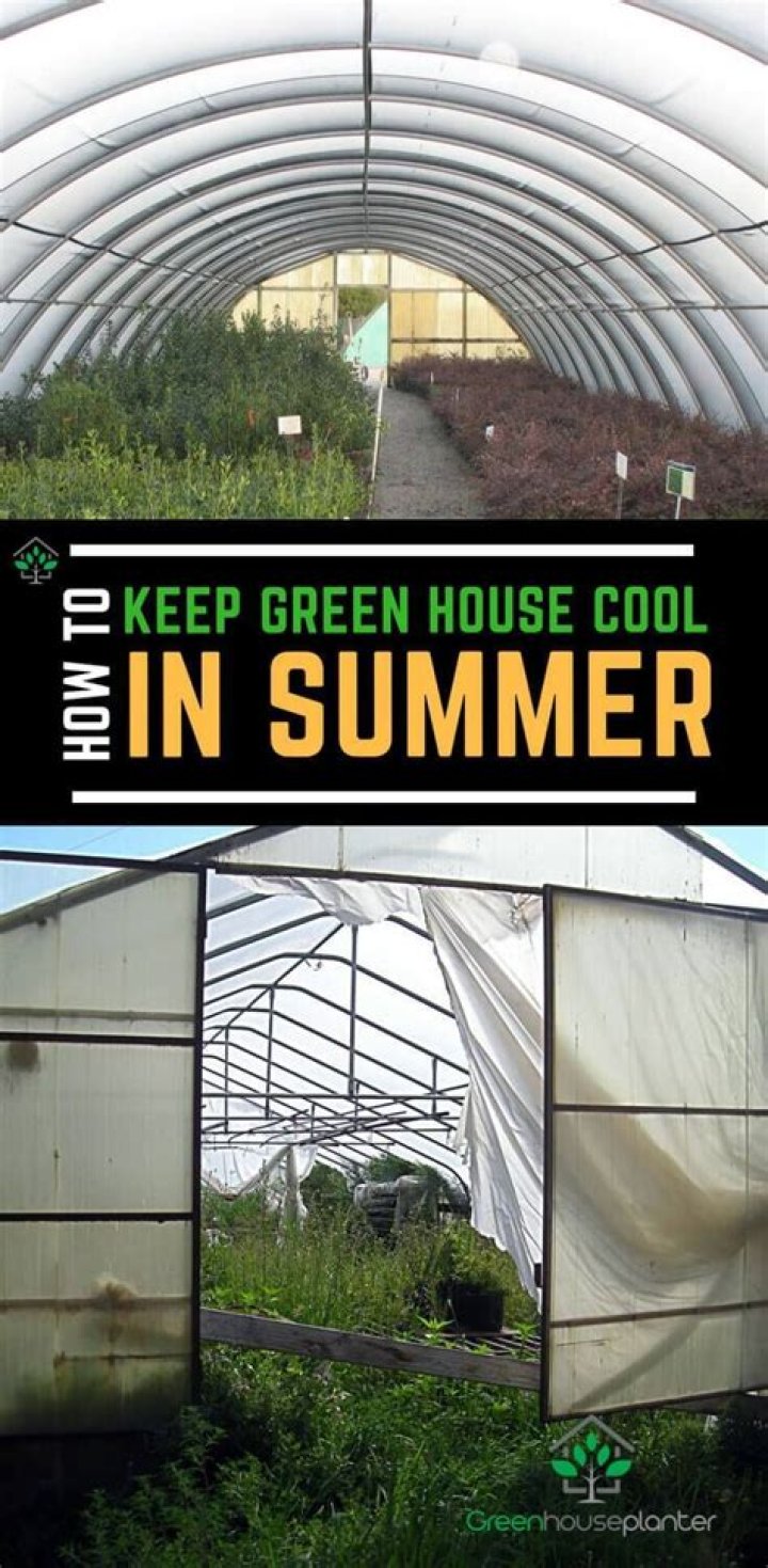 how to keep a greenhouse cool in the desert