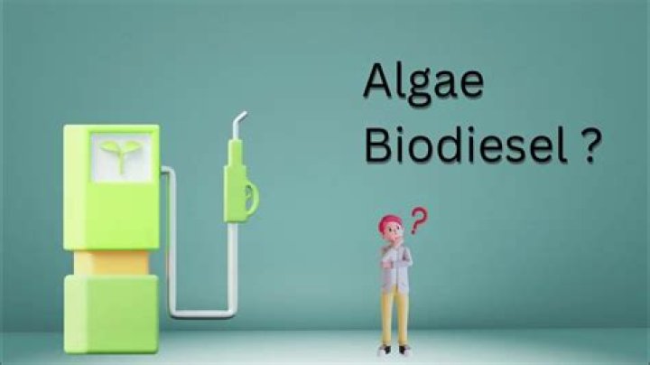 how to make algae biodiesel
