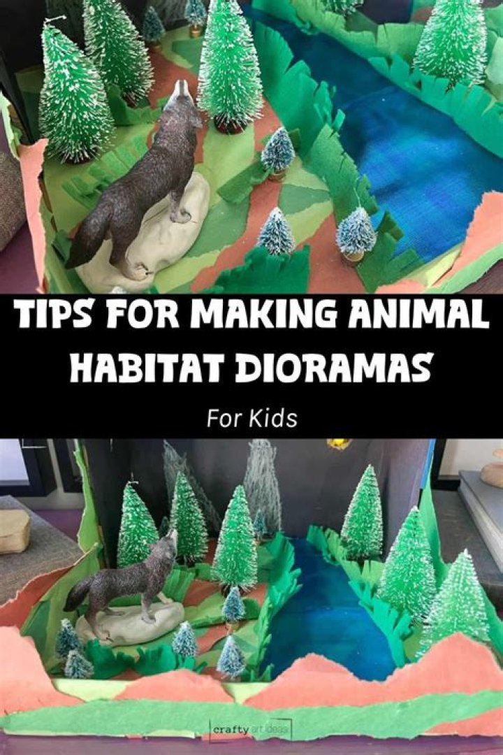 how to make an animal habitat