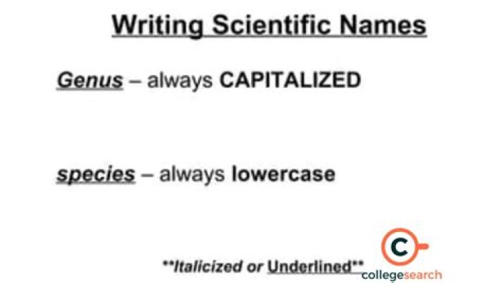 how to make scientific names