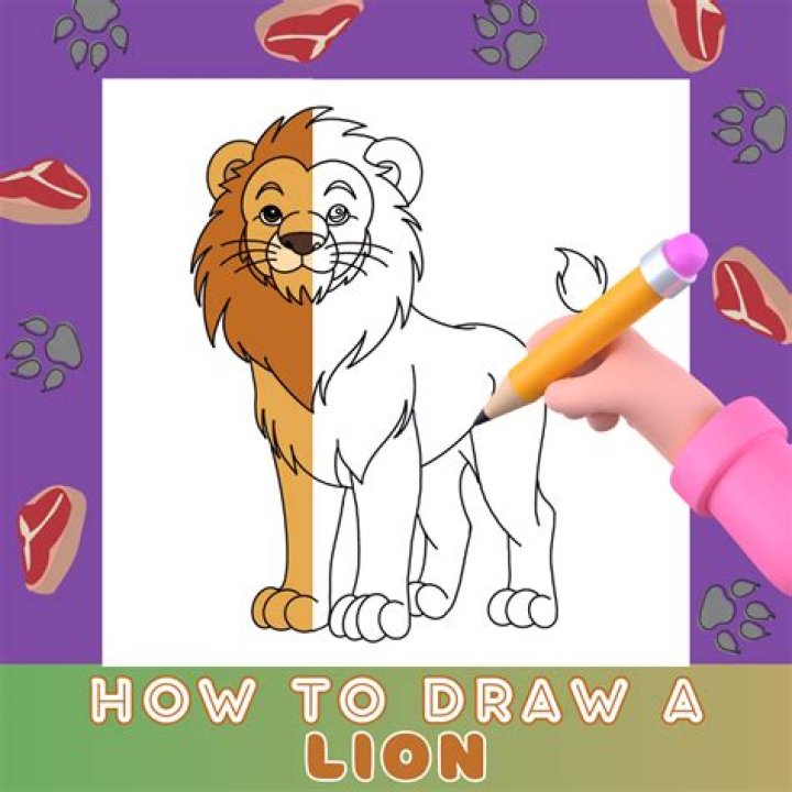 how to own a lion
