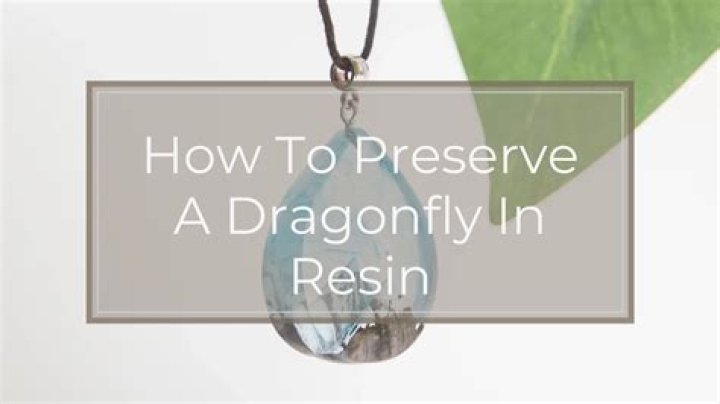 how to preserve a dragonfly in resin