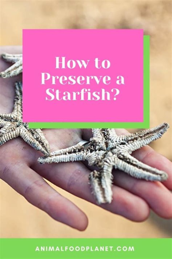 how to preserve a live starfish