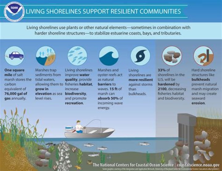 how to prevent shoreline erosion