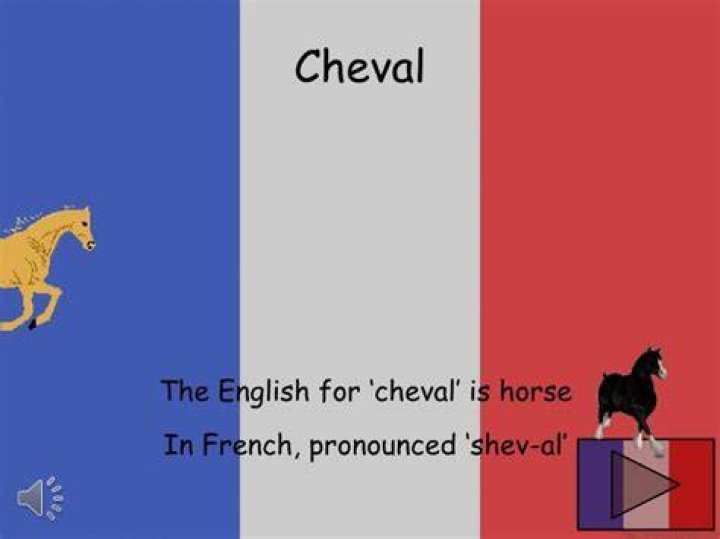 how to say horse in french