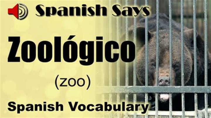 how to say zoo in spanish