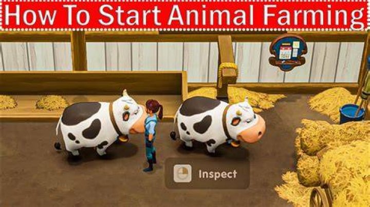 how to start animal farming