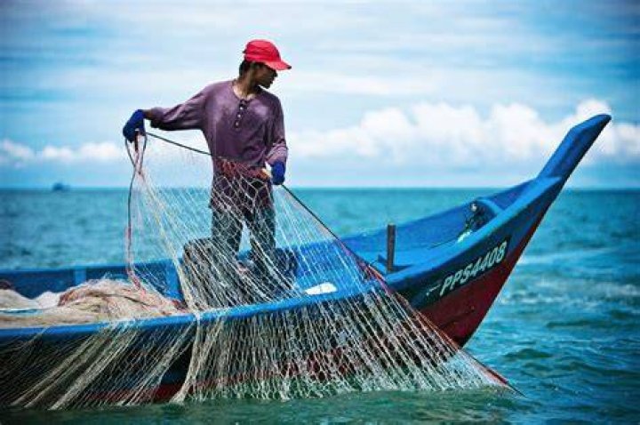how to use a fishing net