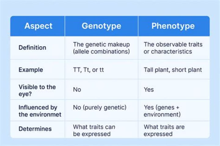 how to write genotypes - Lisbd-net.com
