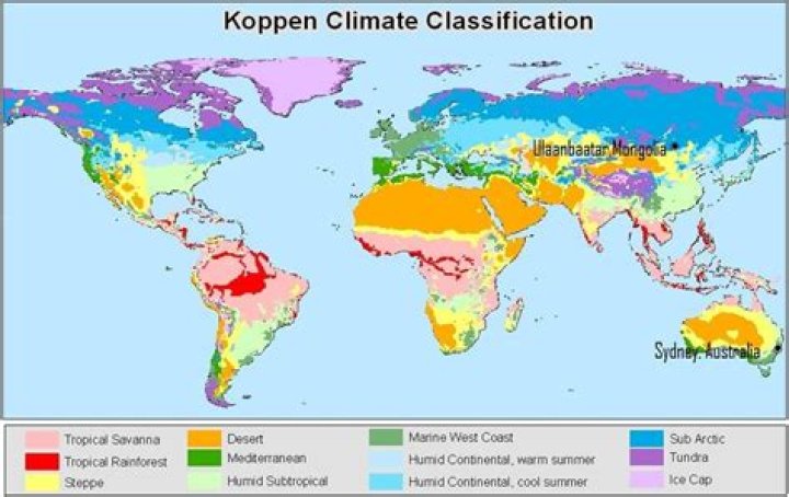 in a humid continental climate what happens to plant life