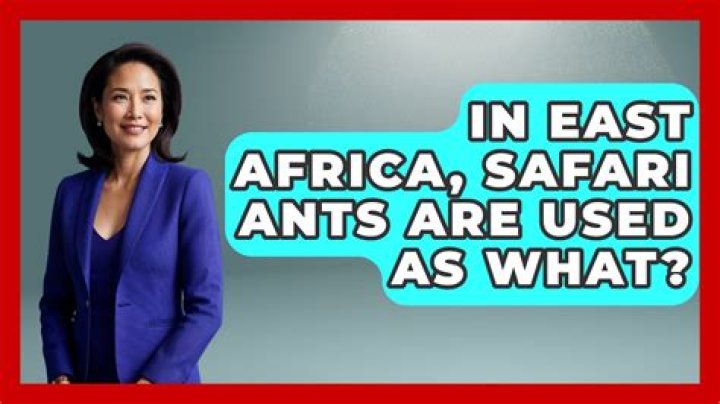 in east africa safari ants are used as what