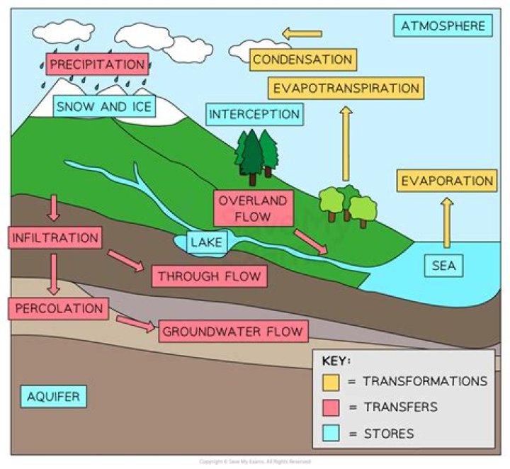 in the diagram below of the water cycle, where would evapotranspiration most likely occur?