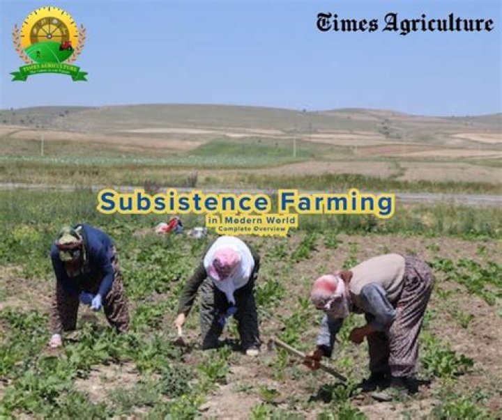 in the mediterranean on what is subsistence agriculture based