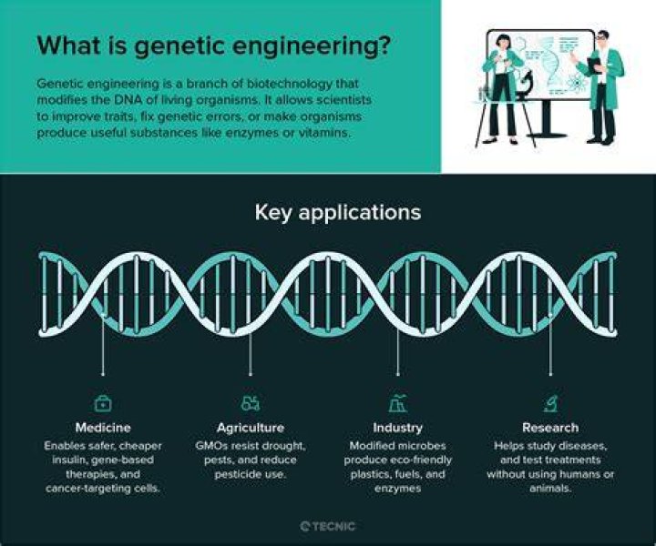 in the process of genetic engineering what is the correct order of the steps