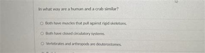 in what way are a human and a crab similar