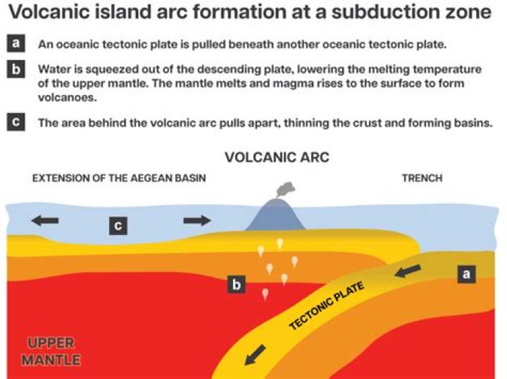 island arcs form in association with what type of tectonic setting?