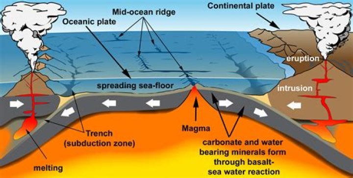 long deep cracks formed when plates separate