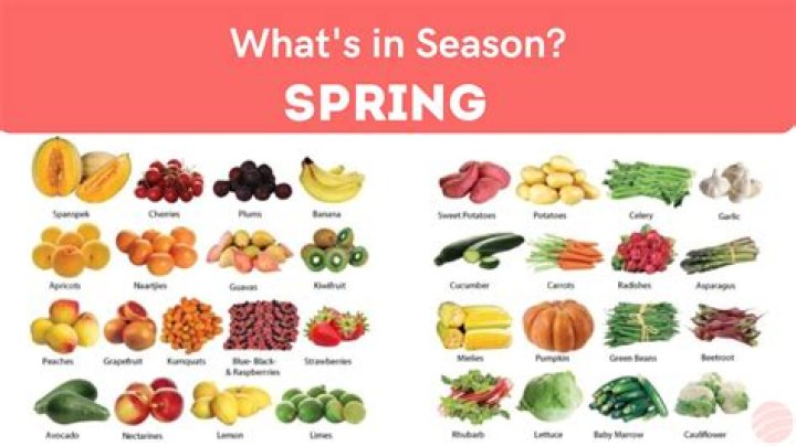 reasons why spring is the best season