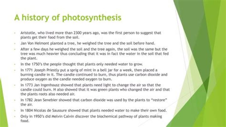scientist who discovered photosynthesis - Lisbd-net.com
