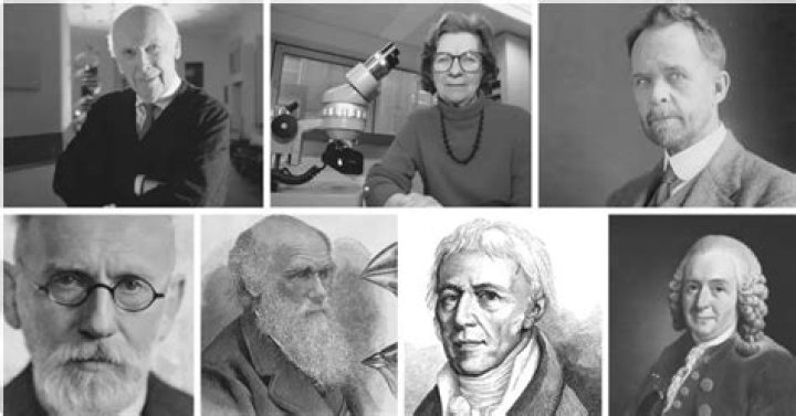 scientists who study the culture of early humans