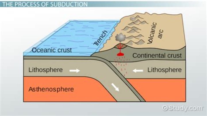 subduction only occurs when oceanic rocks are forced beneath a continent