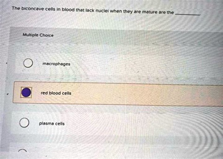 the biconcave cells in blood that lack nuclei when they are mature are the