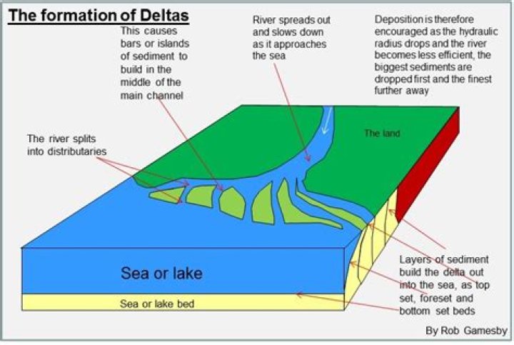 the feature formed when a river dumps its sediment near its mouth is called a: