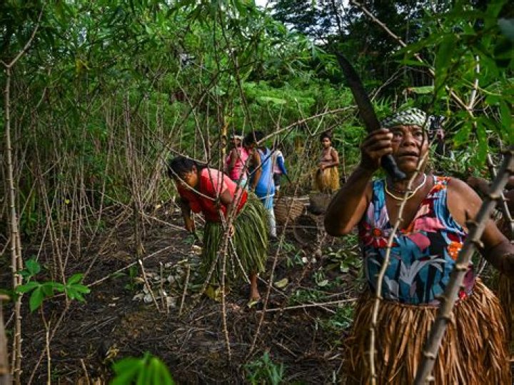 the groups of people who traditionally live to advanced age usually: