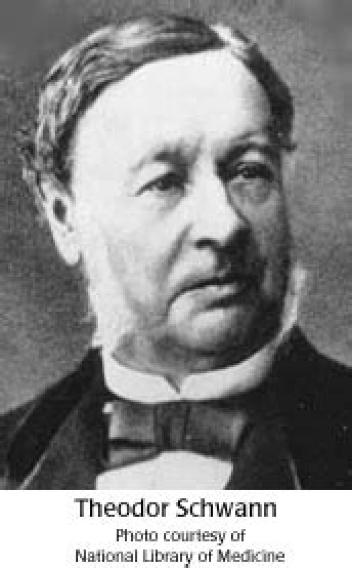 theodor schwann what did he discover