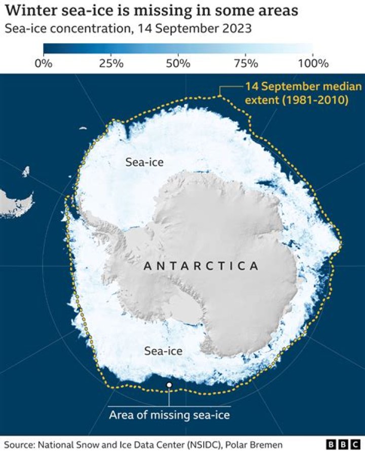to what can antarctica be compared in size