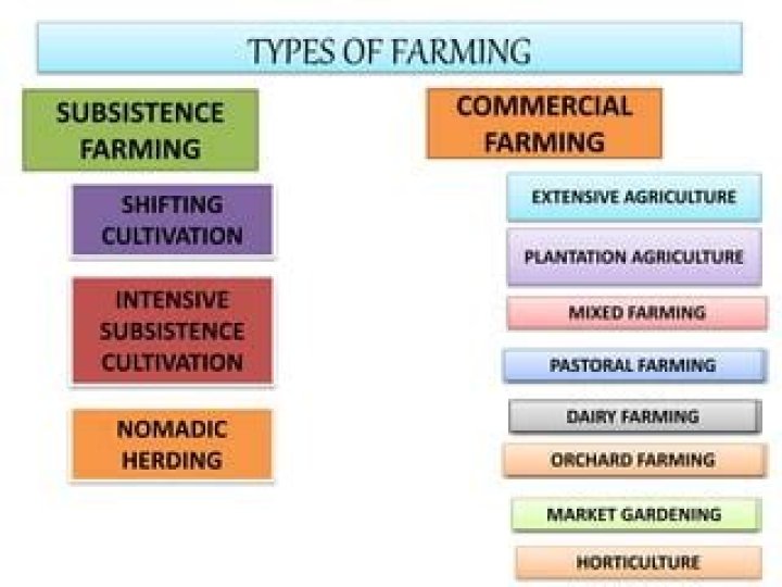 under what conditions do nomadic grazing and shifting agriculture work?