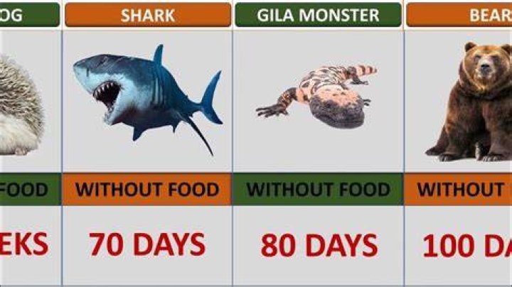 what animal can go the longest without food