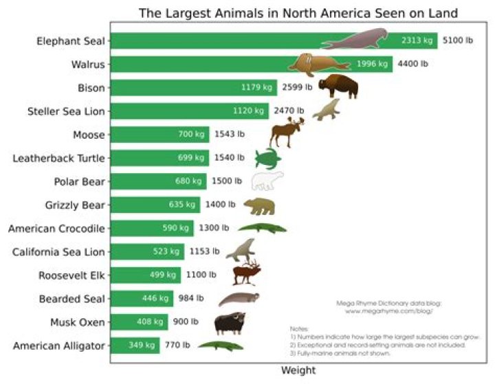 what animal has the largest population