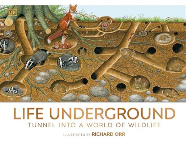 what animal tunnels underground - Lisbd-net.com