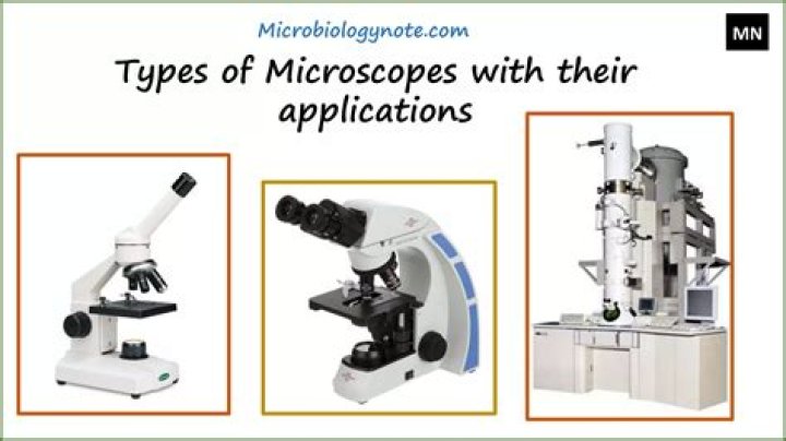 what are dissecting microscopes used for