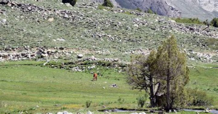 what are examples of human adaptation to the environment