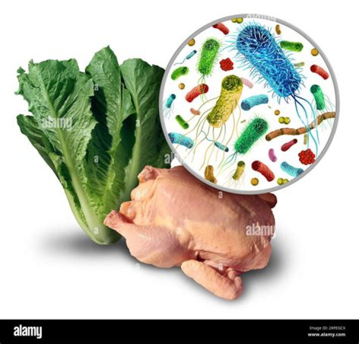 what are foods that allow microorganisms to grow called