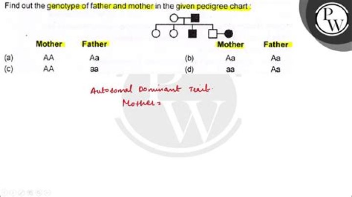 what are parental genotypes - Lisbd-net.com