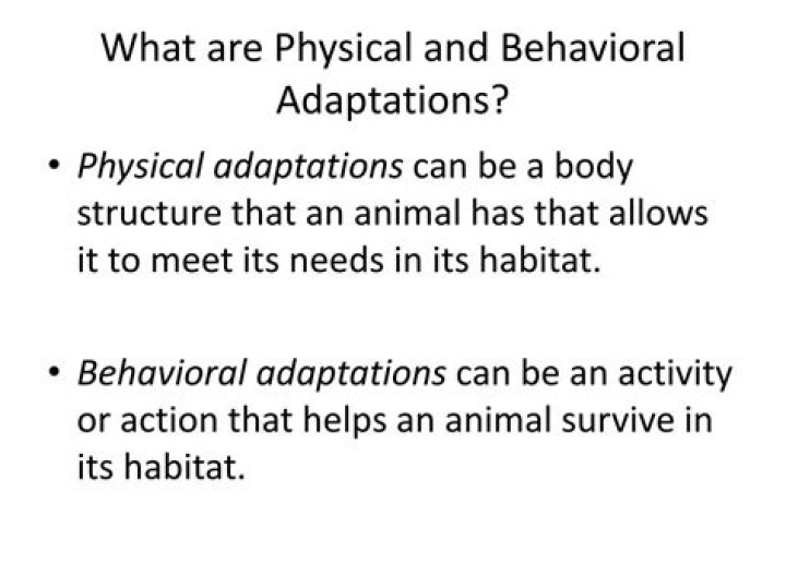 what are physical and behavioral adaptations