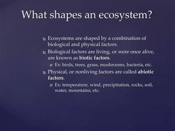 what are physical factors that shape ecosystems