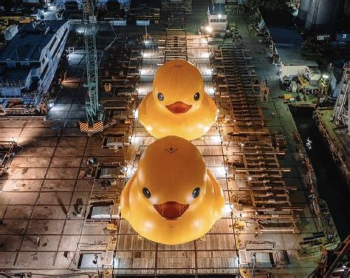 what are rubber ducks made of