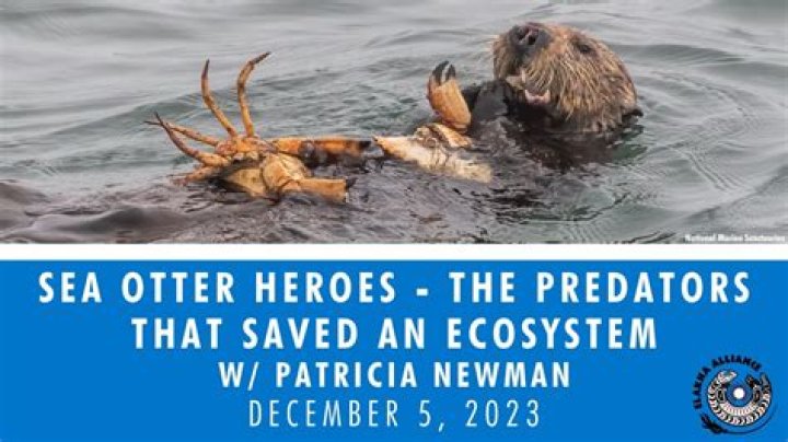 what are sea otters enemies