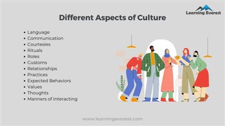 what are some aspects of culture