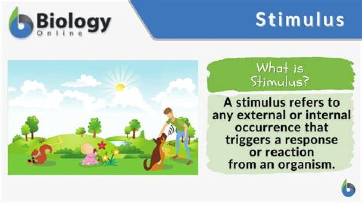 what are some environmental factors stimuli that organisms respond to