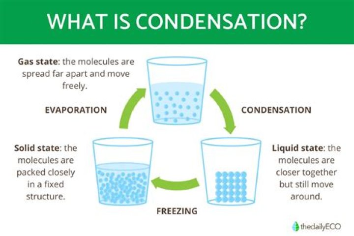 what are some examples of condensation