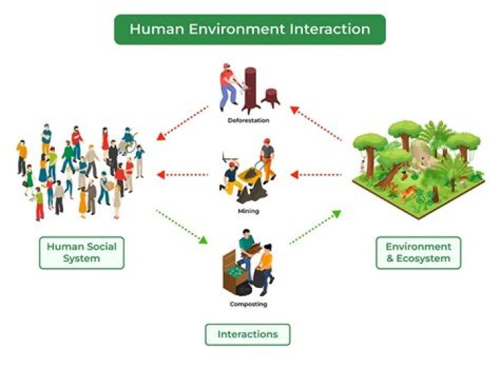 what are some examples of humans interacting with the environment?