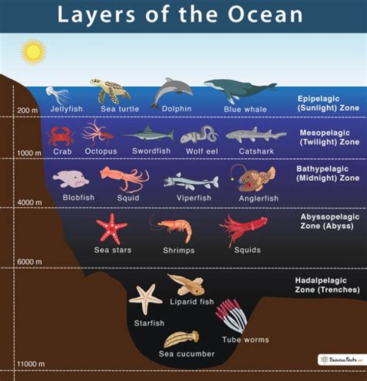 what are the 3 layers of the ocean